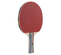 JOOLA TEAM SCHOOL Raquette de tennis de table, Noir - Noir/Rouge