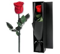 Joollurm éternels cadeaux de roses rouges pour les femmes, fleurs de rose véritable conservées avec tige dans un coffret cadeau exquis pour les filles maman femme Saint Valentin anniversaire cadeau de