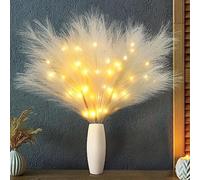 Joomer Grande Herbe de Pampa Avec LED 3 Bouquets de Fleurs de Pampa Artificielles de 70 cm 36 Lumières LED Fonctionne à Piles Décoration D'intérieur Bohème Pour Mariage Salon Chambre à Coucher-Beige