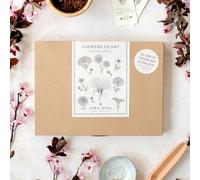 Jora Dahl Flowers To Dry "The Great Collection" - 1 kit