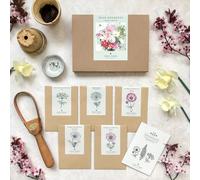 Jora Dahl Wild Bouquet "Cosmos Collection" Kit de Graines - 1 kit