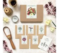 Jora Dahl Wild Bouquet "Zinnia Collection" Kit de Graines - 1 kit