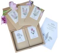 Jora Dahl Wild Bouquets New Cottage Garden - Standard - 1 sachet