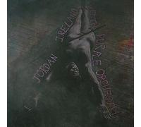 Jordan Ireland With Purple Orchestra