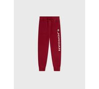 Jordan JDB MJ ESS FLC BASELINE PANT Pants red taille: Age 12-14 | EU 152-164