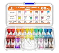 JOREST 60Pcs Fusible Voiture Set - pour Fusibles Auto/Truck/RV/Camion/Moto (2A 3A 5A 7.5A 10A 15A 20A 25A 30A 35A 40A) - Mini Fusibles Automobile + 1 Extracteur