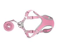 JOROBURO Ensemble Harnais et Laisse pour Chien, Harnais Réfléchissant Réglable sans Traction pour Chiot avec Laisse, Harnais Léger en Maille Douce pour Chat (Rose)