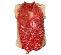 Jorzer Costumes d'halloween, Parties du Corps ensanglantées et défigurées, Costume de Zombie avec organe Musculaire réaliste, Masque d'horreur Effrayant, Accessoires 'Halloween