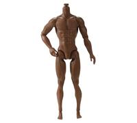 Jorzer Figurine d'action à l'échelle 1/6 6, Corps de Figurine d'action Musculaire Mobile Multi-articulé pour Exposition, Collection Marron 1/échelle Corps Vierge