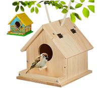 Jorzer Kit de nichoir à Oiseaux en Bois pour Peindre et Construire des nichoirs à Oiseaux avec Brosse, Tournevis, vis de Montage et 6 Couleurs Peinture pour Enfants partir 3 Ans