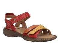 Debra 62 rubin-multi 38