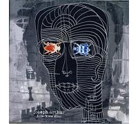 Joseph Arthur - Joseph Arthur: In the Sun/ Interview with Joseph Arthur (UK Import)