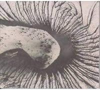 Joseph Arthur & Lonely Astrona - Let's Just Be [Import]