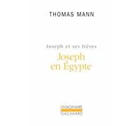 Joseph et ses frères, tome 3 : Joseph en Egypte