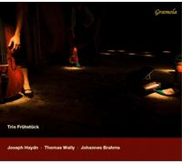 Joseph Haydn / Thomas Wally / Johannes Brahms – Mosaïque Trios pour piano – CD – NAXOS