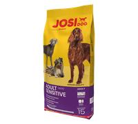 Josera Croquettes JosiDog Adult Sensitive – pour chiens sensibles, volaille, sans gluten – 15 kg