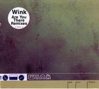 Josh Wink - are You There