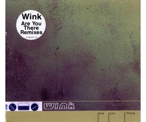 Josh Wink - are You There