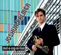 Joshua Palmer - Metacognition