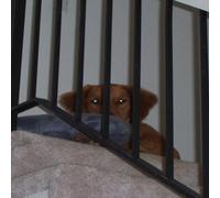 Joshua Scott - Light On The Stairs