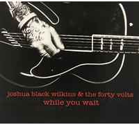 Joshua Wilkins Black & the Forty Volts - While You Wait