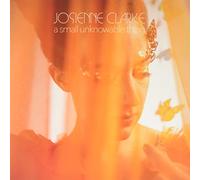 Josienne Clarke - A Small Unknowable Thing [VINYL]