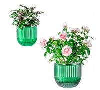 Josteve Lot de 2 pots de fleurs en plastique à auto-arrosage pour intérieur et extérieur, 21/13,5 cm, pour herbes, plantes d'intérieur, violettes africaines, niveau d'eau visible avec trous de