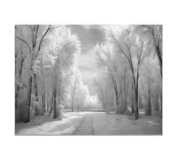JOSUE Poster Mural Pour Salon Noir Et Blanc Paysage d’hiver Tableau Grand Format Sur Toile,Gris, blanc Peinture Moderne Artistique Salon Decoration Murale- 50x70cm Sans cadre
