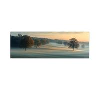 JOSUE Tableau sur toile Forêt au coucher de soleil brumeux - Paysage rural heure dorée pour chambre apaisante & bureau(O)-20x60cm Sans cadre