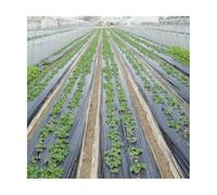 JOSUR Film de paillis Noir à 5 Trous, for Le Jardinage de Plantes de semis de légumes de Fleurs, Membrane de paillage en Film PE perforé(0.95x15m)