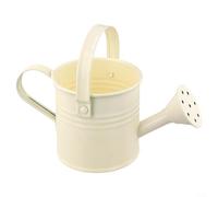 Jotekonoby Arrosoir coloré en métal pour enfants, pot d'eau de jardinage pour plantes de jardin, 1 l, pulvérisateur de jardin à long goulot (beige)