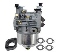 Jotekonoby Kit carburateur de rechange pour moteur de tondeuse à gazon 491912 avec joints