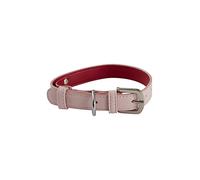 Jotex Inu Collier pour Chien et Chat Rouge