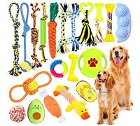 JOTOL Jouet Corde pour Chien - 20 Pièces Durables et Indestructibles pour Mâcher, Dentition et Entraînement - Pour Petit et Moyen Chien