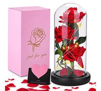 JOTOL Rose Eternelle, Fleurs Artificielles sous Cloche,La Belle et la Bête Rose en Verre avec Lumières LED Pine Base pour Fête des Mères Saint Valentin Décorations Anniversaire Mariage Maison
