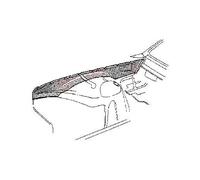 Joue d'aile avant droite pour Opel Kadett C (1973-1979)