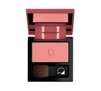 JOUES EN POUDRE COMPACTE DDP 29