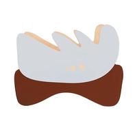 Jouet à mâcher en bois naturel amusant pour petits animaux cachettes hamster plate-forme en bois accessoires cage hamster gros hamsters