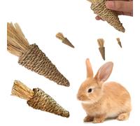 Jouet à mâcher en forme de carotte fait main, tissé pour lapins, hamsters, cochons d'Inde, chats en tant que jouet pour l'usure des dents et le divertissement Taille moyenne 1 pièces,Grande taille 1 p