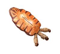 Jouet à mâcher en forme d'os pour chat - Jouets interactifs à plumes | Design intrigant avec des formes de calamar grillées, simulation réaliste en peluche, ensembles pour tunnel d'intérieur et chaton