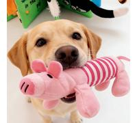 Jouet à mâcher en peluche pour chien - Peluche durable, douce et résistante à la mastication, rayée rose et gris/bleu - Convient à tous les chiens qui mâchent, des petites aux grandes races, conçu pou