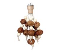 Jouet à mâcher - Ensemble de baguettes abrasives pour les dents des oiseaux, en forme d'ananas et fruit étoilé, système de jouet de dentition naturel pour les activités de jeu pour enrichir la cage à