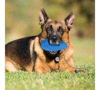 Jouet à mâcher irrésistible pour chien avec parfum de maïs : enthousiasmez votre ami à fourrure avec le délicieux arôme du maïs charnu et gardez ses dents fortes. (jaune, 15,8 x 7,3 x 7,3 cm)