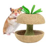 Jouet à mâcher pour hamster - Farine de maïs naturelle - Traiter molaire en forme de fruit - 120 g - Taille compacte - Plat de lapin, chinchilla, écureuil, dents d'animaux de compagnie