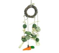 Jouet à mâcher pour les dents, jouets de hamster faits à la main, perroquets d'oiseaux, entretien de lapins en bonne santé, accessoires de cage Chinchilla