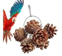 Jouet à mâcher pour perroquet pomme de pin - Jouet à mâcher pour cage à oiseaux, friandise naturelle | Jouets à mordre en coquille de noix, blocs de picage en bois pour petits cacatoès, aras