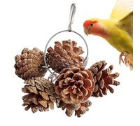 Jouet à mâcher pour perroquets avec cône de pin, jouet en bois pour oiseaux qui gardera votre perroquet diverti pendant des heures Jouet pour oiseaux coloré et interactif pour éviter que votre animal