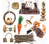 Jouet à mâcher pour petits animaux, jouets molaires, soins dentaires, accessoires en bois pour cochons d'Inde, chinchillas, gerbilles, souris, rats, souris (kit de jouets à mâcher B)