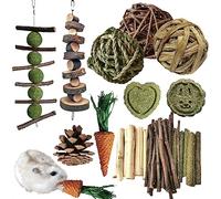 Jouet à mâcher pour petits animaux, jouets molaires, soins dentaires, accessoires en bois pour cochons d'Inde, chinchillas, gerbilles, souris, rats, souris (jeu de jouets à mâcher A)