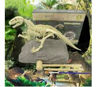 Jouet archéologique dinosaure C® Squelette à assembler Plastique 19,5x14,2x4,2 cm Mixte Kit d'assemblage de squelette de dinosaure